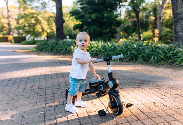 Preloved Cruiser Trike