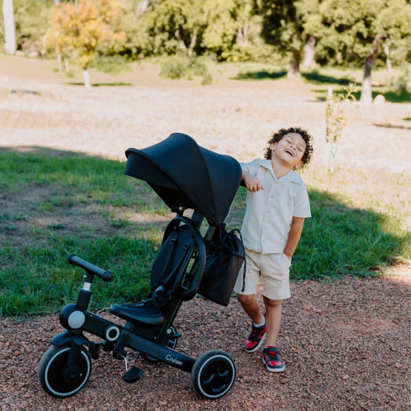 Cruiser Trike | Storage Bag