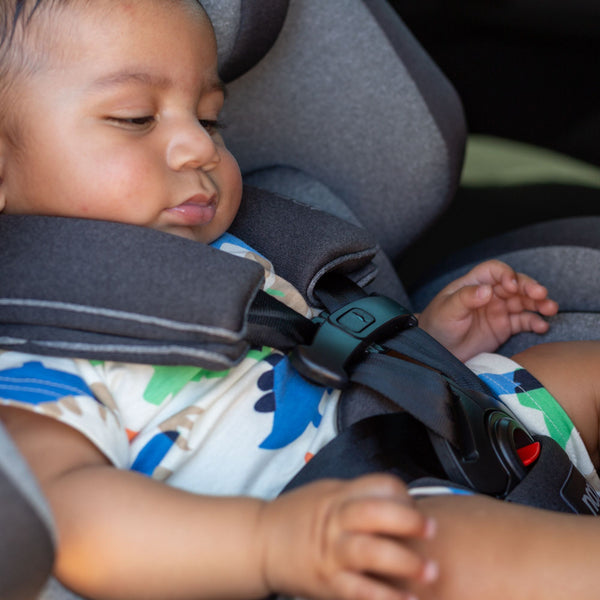 noola baby back seat bundle car accessory