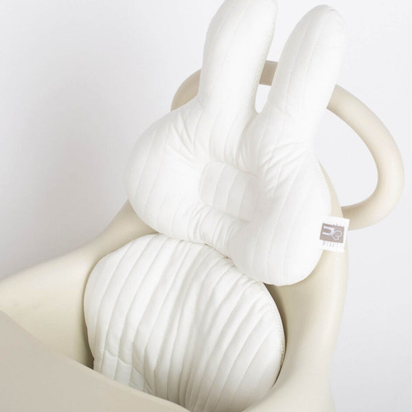 The Lumi Seat | 5in1 Multifunctional Baby Chair