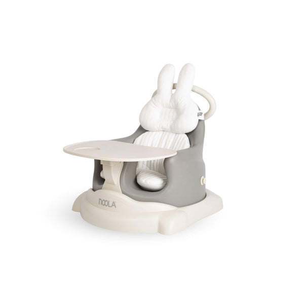 The Lumi Seat | 5in1 Multifunctional Baby Chair