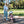 noola baby The 3in1 Cruiser Trike Kids Trike