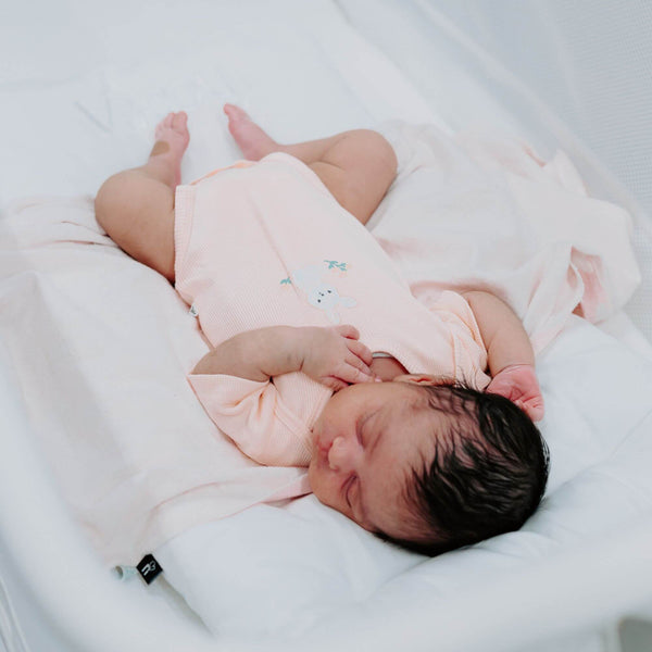 noola baby The Nest Pad Stroller Accessory