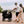 noola baby The Rover Wagon Stroller Stroller