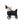 noola baby The Rover Wagon Stroller Stroller